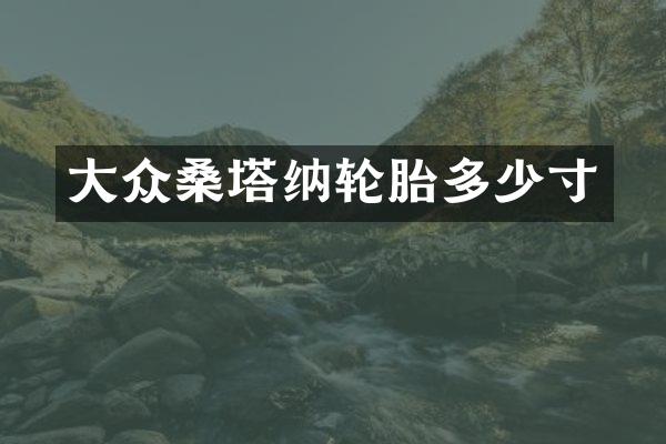 大众桑塔纳轮胎多少寸
