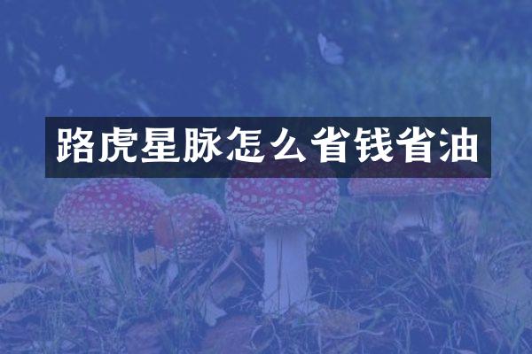 路虎星脉怎么省钱省油