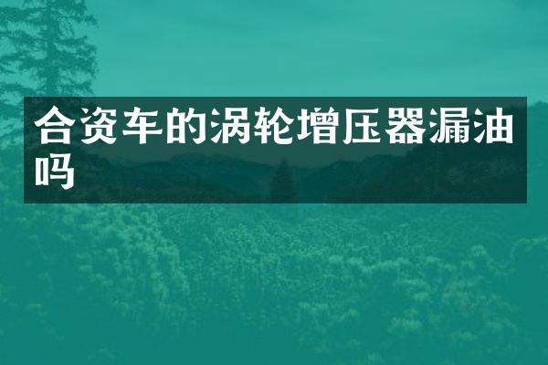 合资车的涡轮增压器漏油吗