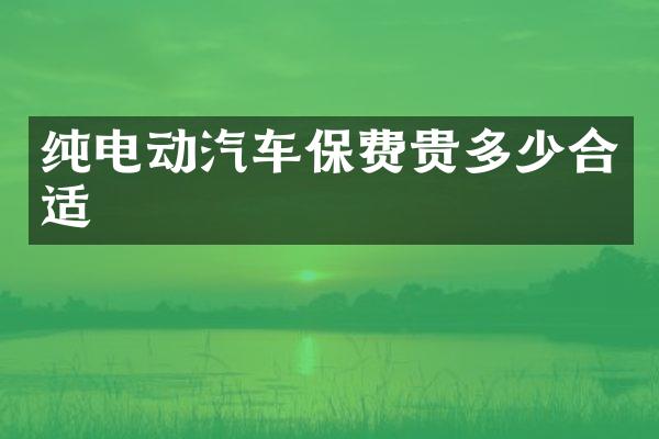 纯电动汽车保费贵多少合适