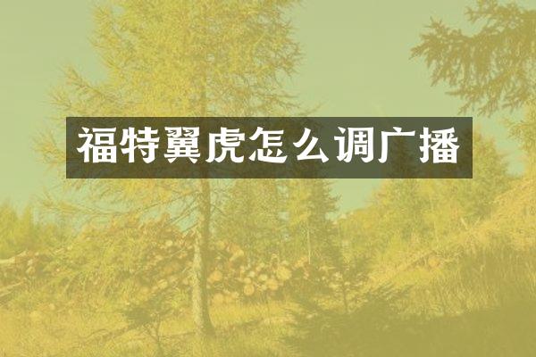 福特翼虎怎么调广播