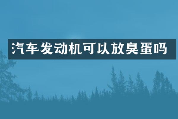汽车发动机可以放臭蛋吗