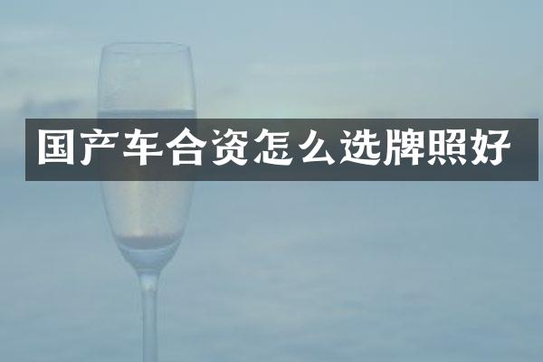 国产车合资怎么选牌照好