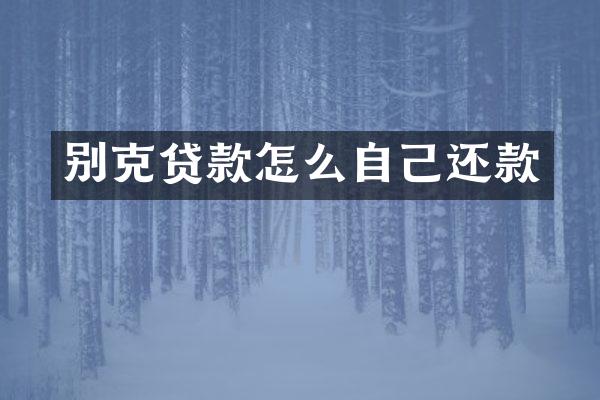别克贷款怎么自己还款