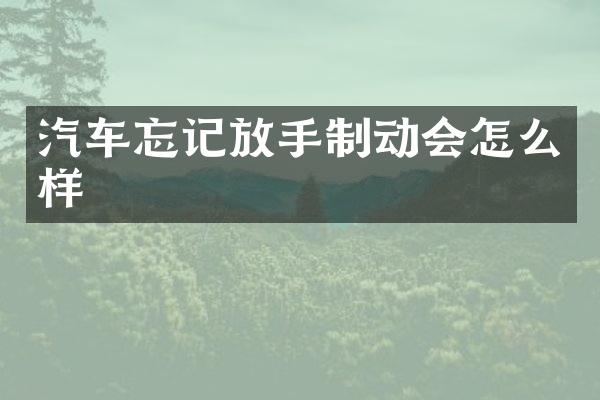 汽车忘记放手制动会怎么样