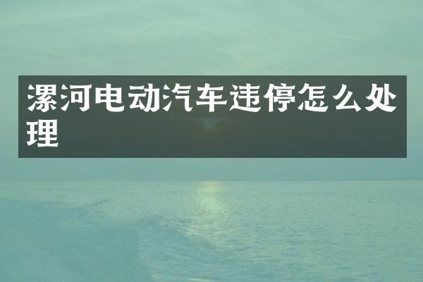 漯河电动汽车违停怎么处理