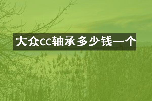 大众cc轴承多少钱一个