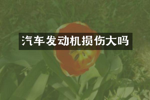 汽车发动机损伤大吗