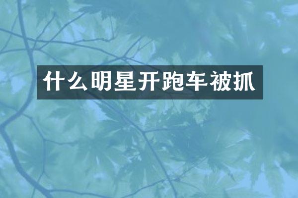 什么明星开跑车被抓