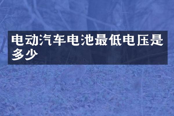 电动汽车电池最低电压是多少