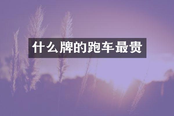什么牌的跑车最贵