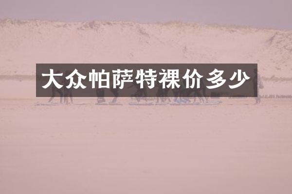 大众帕萨特裸价多少