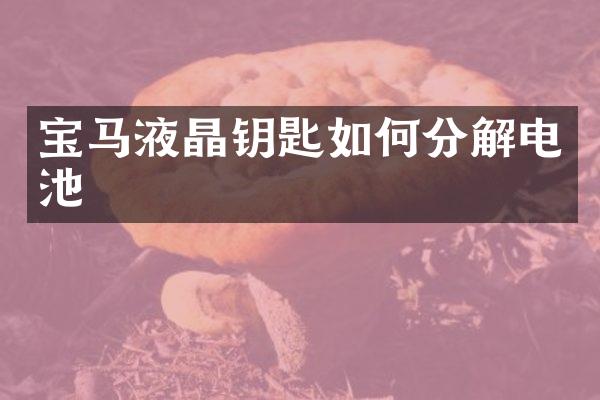 宝马液晶钥匙如何分解电池