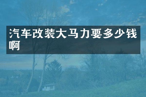 汽车改装大马力要多少钱啊
