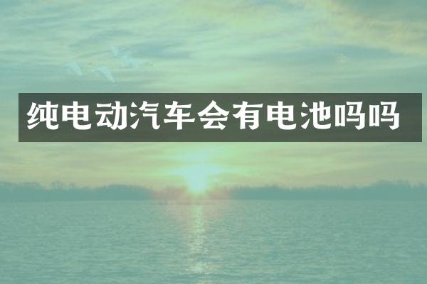 纯电动汽车会有电池吗吗