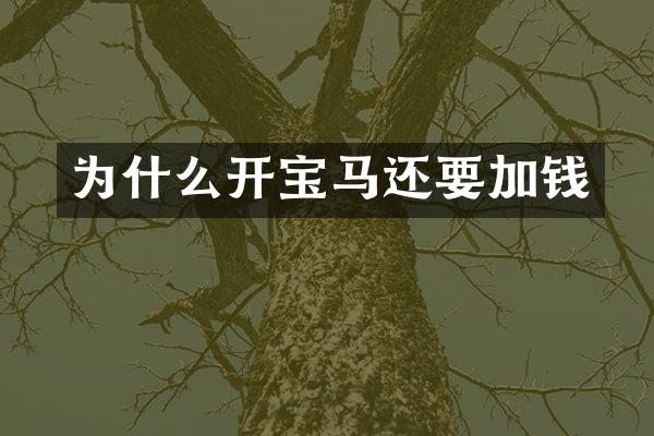 为什么开宝马还要加钱