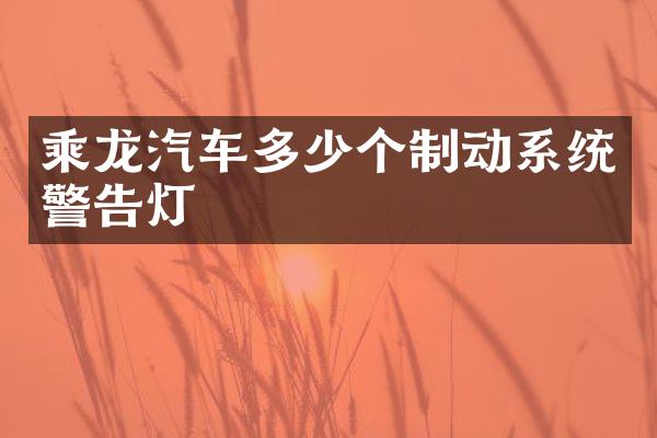 乘龙汽车多少个制动系统警告灯