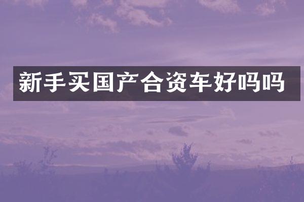 新手买国产合资车好吗吗