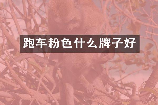 跑车粉色什么牌子好