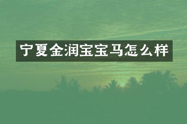 宁夏金润宝宝马怎么样