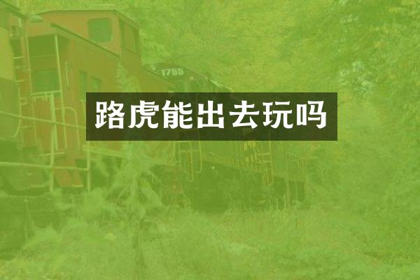 路虎能出去玩吗