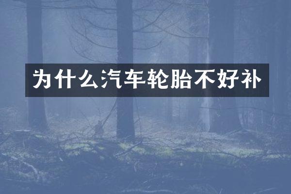 为什么汽车轮胎不好补