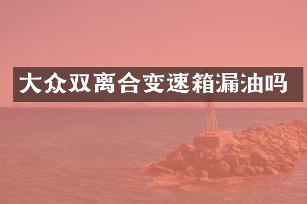 大众双离合变速箱漏油吗