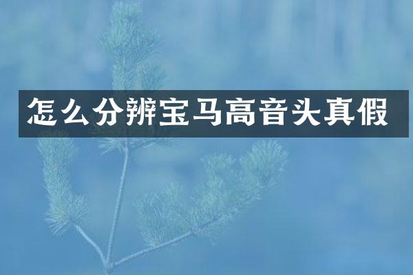 怎么分辨宝马高音头真假