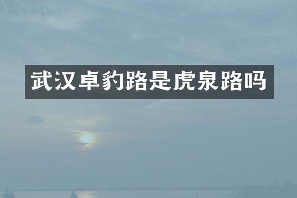 武汉卓豹路是虎泉路吗