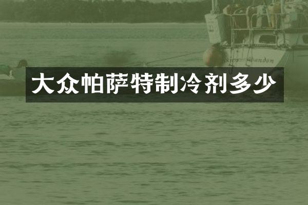 大众帕萨特制冷剂多少
