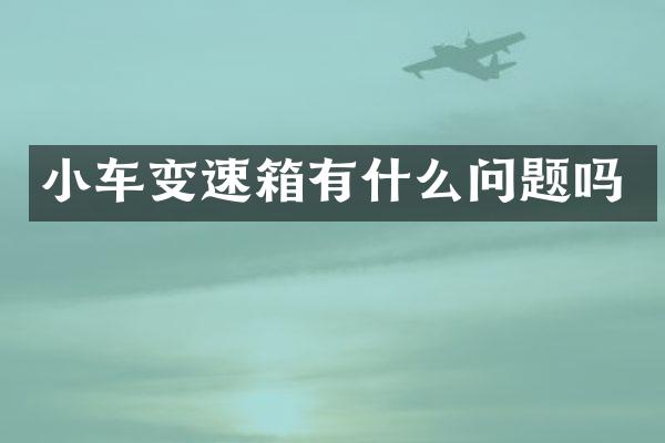 小车变速箱有什么问题吗