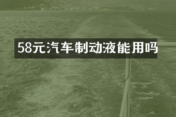 58元汽车制动液能用吗
