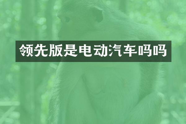 领先版是电动汽车吗吗