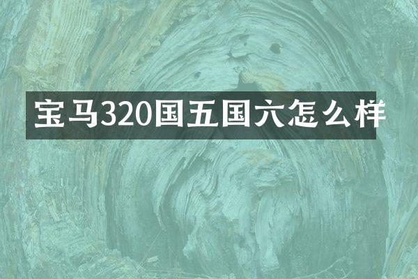 宝马320国五国六怎么样