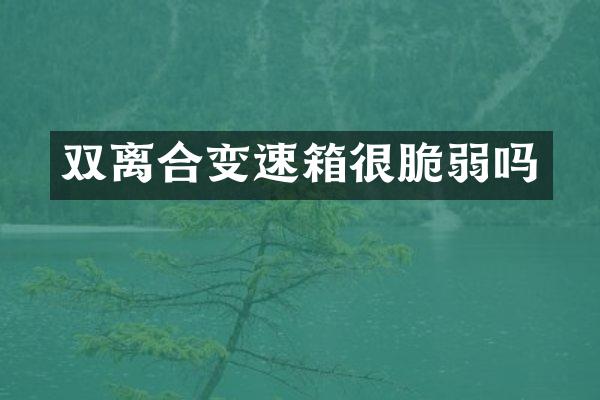 双离合变速箱很脆弱吗