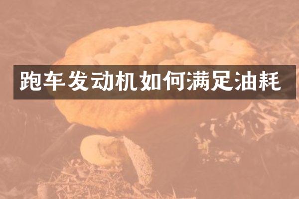 跑车发动机如何满足油耗