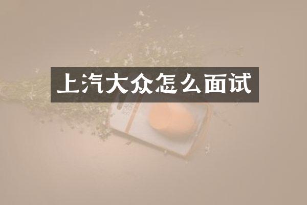 上汽大众怎么面试