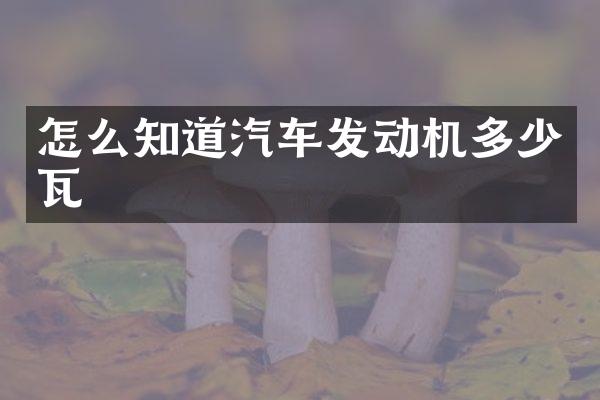 怎么知道汽车发动机多少瓦