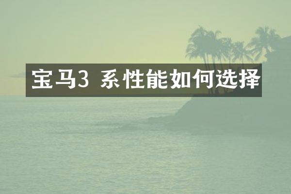 宝马3 系性能如何选择