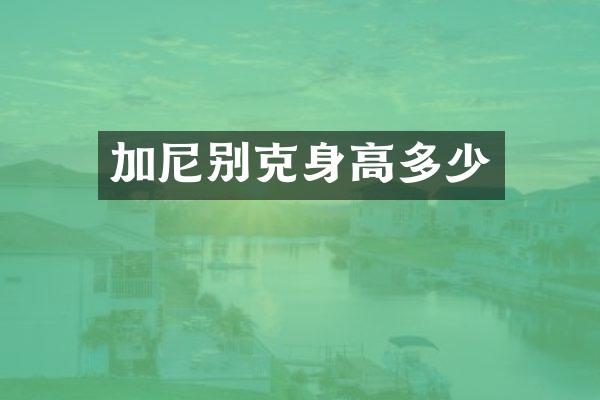 加尼别克身高多少