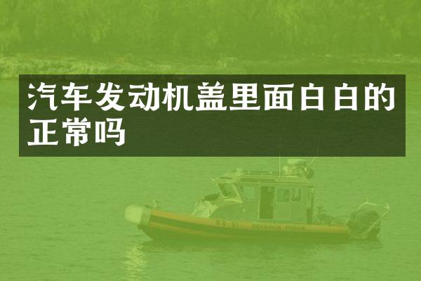 汽车发动机盖里面白白的正常吗