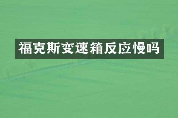 福克斯变速箱反应慢吗