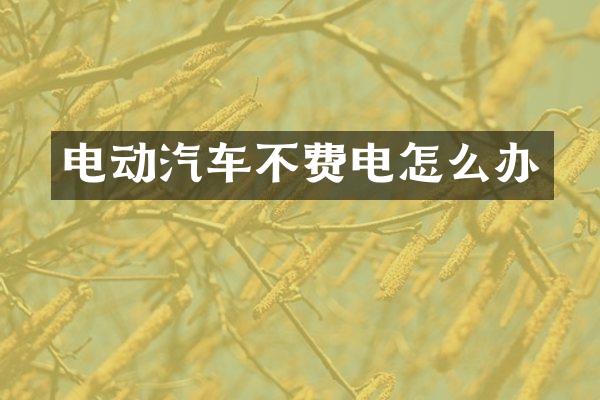 电动汽车不费电怎么办