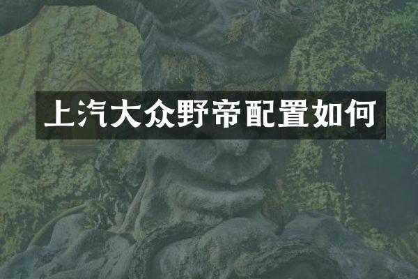 上汽大众野帝配置如何
