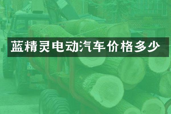 蓝精灵电动汽车价格多少