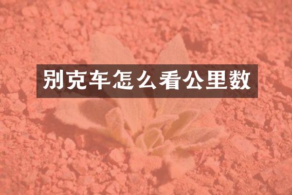别克车怎么看公里数