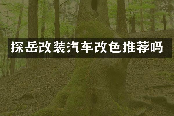 探岳改装汽车改色推荐吗