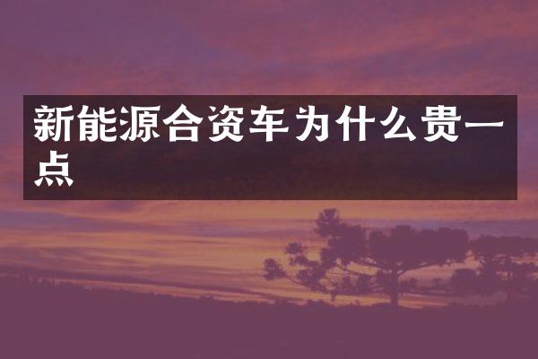 新能源合资车为什么贵一点