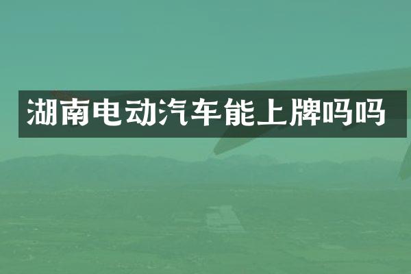 湖南电动汽车能上牌吗吗