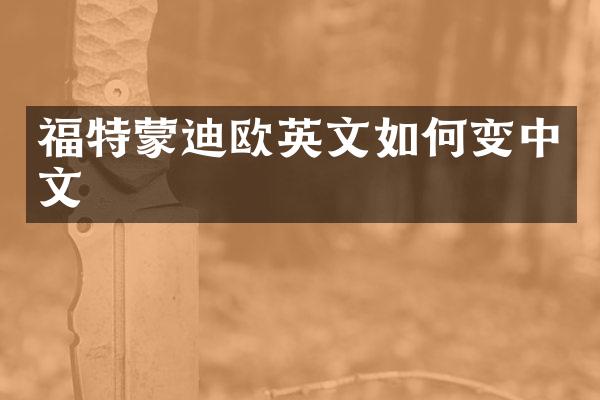 福特蒙迪欧英文如何变中文